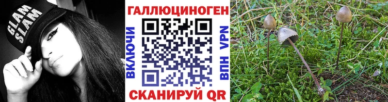 даркнет сайт  Гусиноозёрск  Псилоцибиновые грибы MAGIC MUSHROOMS 