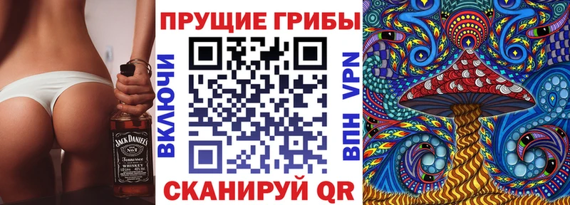 Псилоцибиновые грибы ЛСД Гусиноозёрск